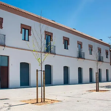 Live Like A Local In Contemporary Duplex Sewilla